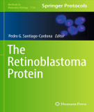 Ebook The retinoblastoma protein