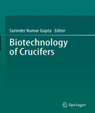 Ebook Biotechnology of crucifers