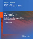 Ebook Selenium: Its molecular biology and role in human health (Third edition)