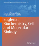 Ebook Euglena: Biochemistry, cell and molecular biology