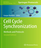 Ebook Cell cycle synchronization: Methods and protocols (Second edition)