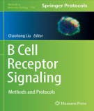 Ebook B cell receptor signaling: Methods and protocols