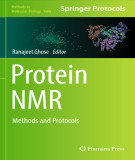 Ebook Protein NMR: Methods and protocols