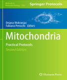 Ebook Mitochondria: Practical protocols (Second edition)