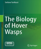 Ebook The biology of hover wasps