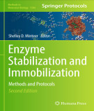 Ebook Enzyme stabilization and immobilization: Methods and protocols (Second edition)