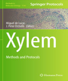 Ebook Xylem: Methods and protocols
