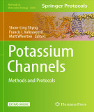 Ebook Potassium channels: Methods and protocols