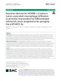 Exosome-derived lnc-HOXB8-1:2 induces tumor-associated macrophage infltration to promote neuroendocrine differentiated colorectal cancer progression by sponging hsa-miR-6825-5p