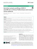 Germline variants profiling of BRCA1 and BRCA2 in Chinese Hakka breast and ovarian cancer patients
