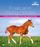 Ebook Foals and young horses - Training and management for a well behaved horse: Part 1