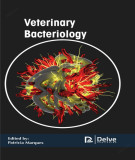 Ebook Veterinary bacteriology: Part 2