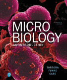 Ebook Microbiology - An introduction (13/E): Part 1