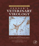 Ebook Fenner's veterinary virology (5/E): Part 1
