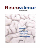 Ebook Neuroscience (4/E): Part 1