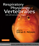 Ebook Respiratory physiology of vertebrates - Life with and without oxygen: Part 1