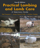 Ebook Practical lambing and lamb care - A veterinary guide (4/E): Part 2