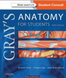 Ebook Gray's anatomy for students (3/E): Part 2