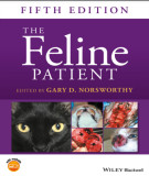 Ebook The feline patient (5/E): Part 2