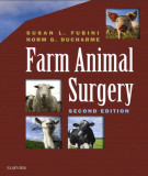 Ebook Farm animal surgery (2nd edition): Part 2
