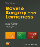 Ebook Bovine surgery and lameness (3/E): Part 2