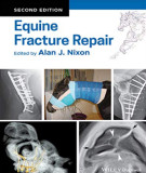 Ebook Equine fracture repair (2/E): Part 3