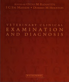 Ebook Veterinary clinical examination and diagnosis: Part 2