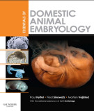 Ebook Essentials of domestic animals embryology: Part 2