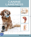 Ebook Canine lameness: Part 2