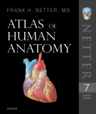 Ebook Atlas of human anatomy (7/E): Part 2