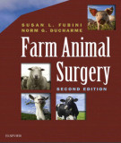 Ebook Farm animal surgery (2/E): Part 2