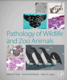 Ebook Medical and veterinary entomology (3/E): Part 1