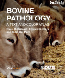 Ebook Bovine pathology - A text and color atlas: Part 1