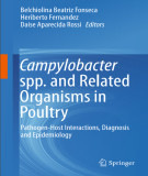 Ebook Campylobacter spp. and related organisms in poultry - Pathogen-host interactions, diagnosis and epidemiology: Part 2