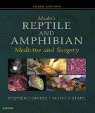 Ebook Mader's reptile and amphibian medicine and surgery (3/E): Part 1