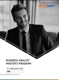 Business Analyst Master’s Program in Collaboration with IBM V10