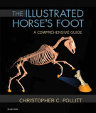 Ebook The illustrated horse's foot - A comprehensive guide: Part 2