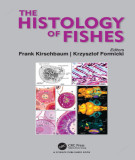 Ebook The histology of fishes: Part 1
