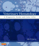 Ebook Veterinary hematology - A diagnostic guide and color atlas: Part 2