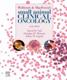 Ebook Withrow and MacEwen's small animal clinical oncology (6/E): Part 2
