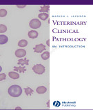 Ebook Veterinary clinical pathology - An introduction: Part 2