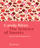 Ebook Candy bites: The science of sweets
