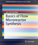 Ebook Basics of flow microreactor synthesis