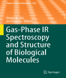 Ebook Gas-phase IR spectroscopy and structure of biological molecules