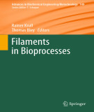 Ebook Filaments in bioprocesses (Advances in biochemical engineering/biotechnology, Volume 149)