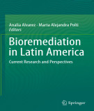 Ebook Bioremediation in Latin America: Current research and perspectives