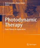 Ebook Photodynamic therapy: From theory to application