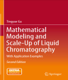 Ebook Mathematical modeling and scale-up of liquid chromatography: With application examples (Second edition)
