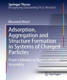 Ebook Adsorption, aggregation and structure formation in systems of charged particles: From colloidal to supracolloidal assembly