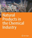 Ebook Natural products in the chemical industry